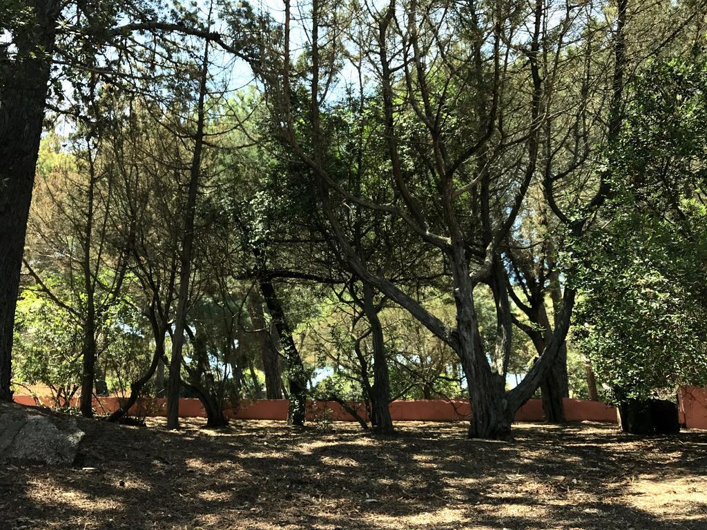Villa Mica La Maddalena  Exteriér fotografie